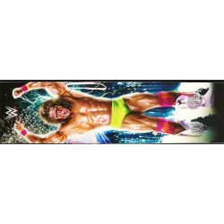 WWE LE Backbox Decal - Left